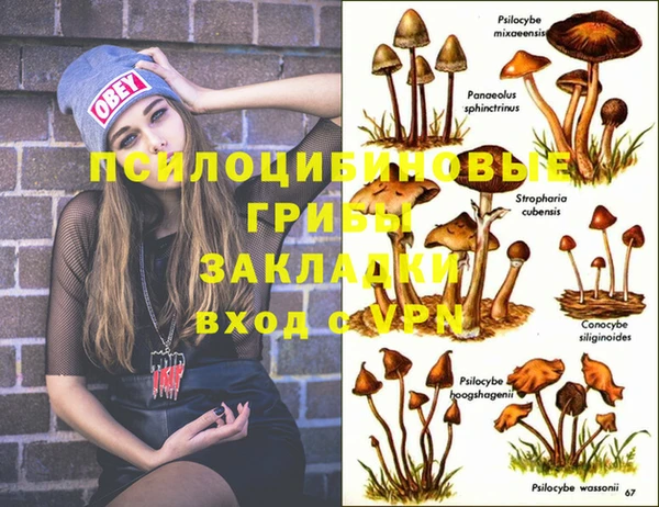spice Абинск