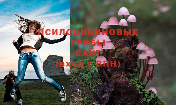 мескалин Алексин