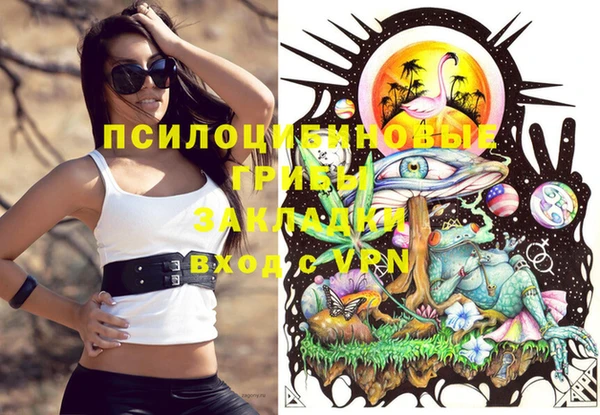 spice Абинск